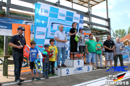 2015 LRP HPI Challenge DM